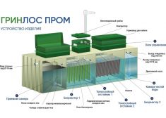 Гринлос БМ 2000